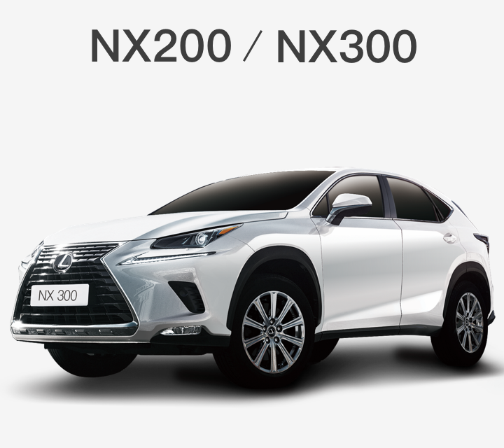 NX200