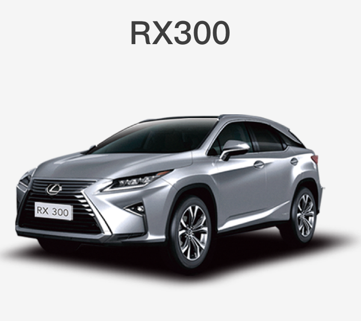 RX300